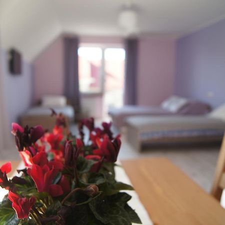 Villa Terra Pruszcz Gdanski Ngoại thất bức ảnh
